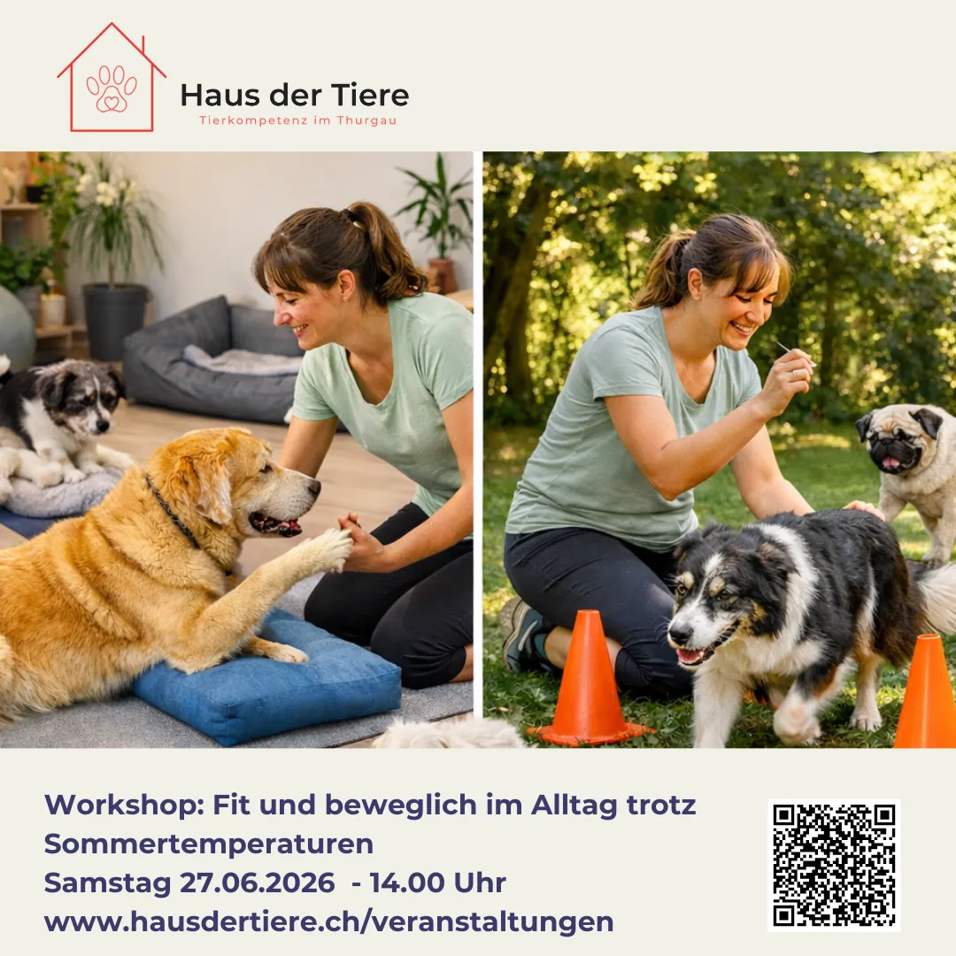 Workshop: Fit und beweglich im Alltag trotz Sommertemperaturen