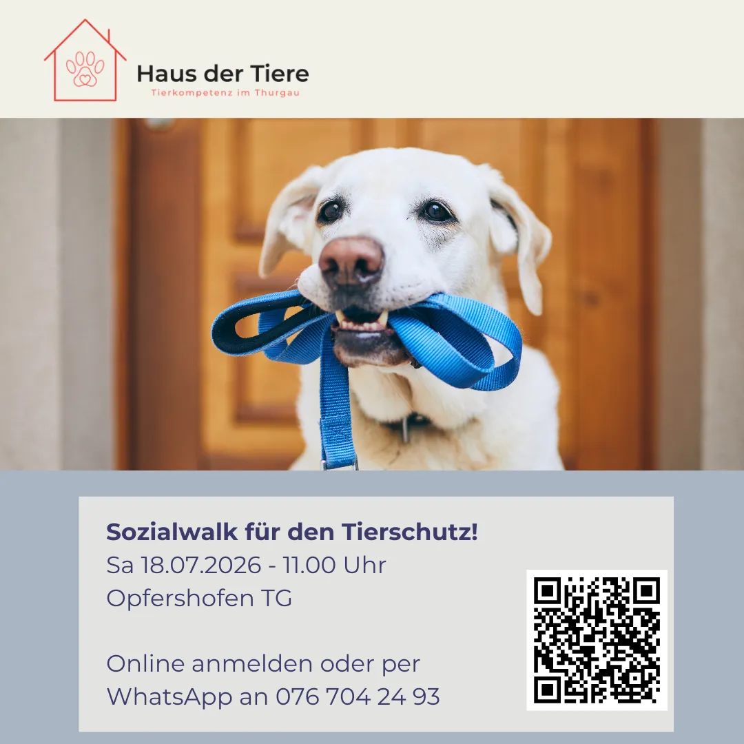 Sozial Walk für den Tierschutz – Gemeinsam Gassi gehen, Gutes tun