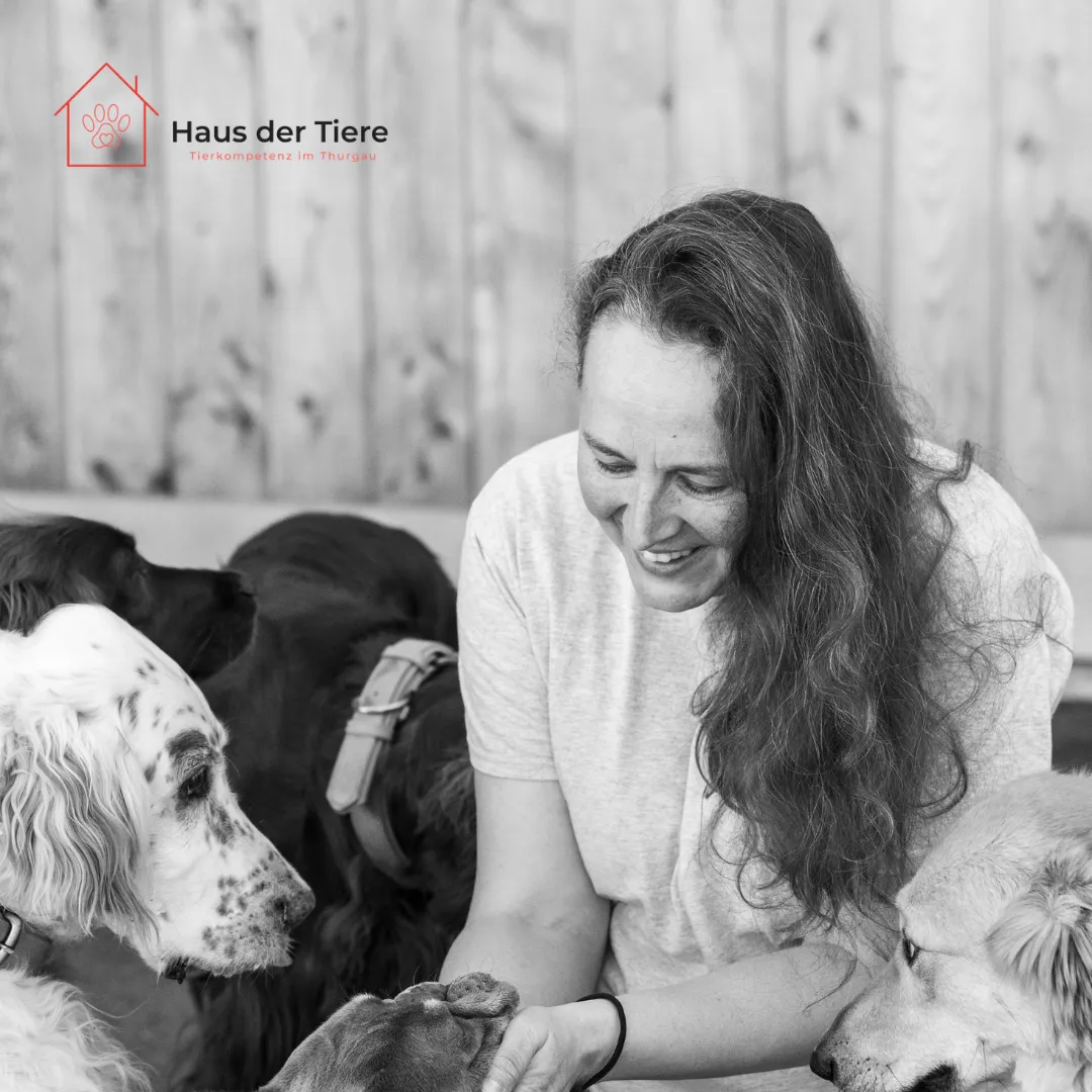 Hier fühlen sich Tiere wirklich zu Hause