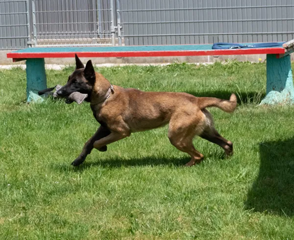 Vorschau 7