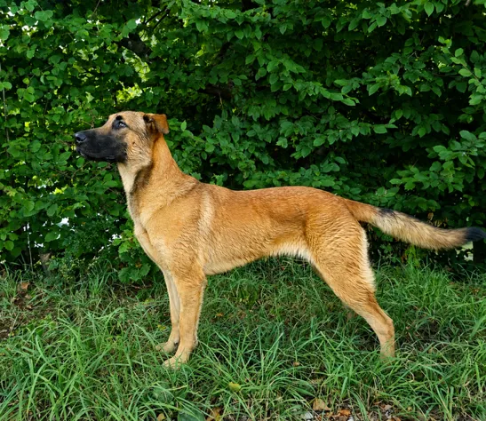 Vorschau 6