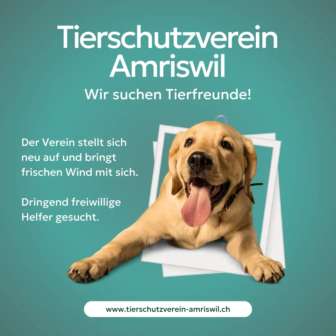 Tierschutz braucht Herz und Hände – mach mit!