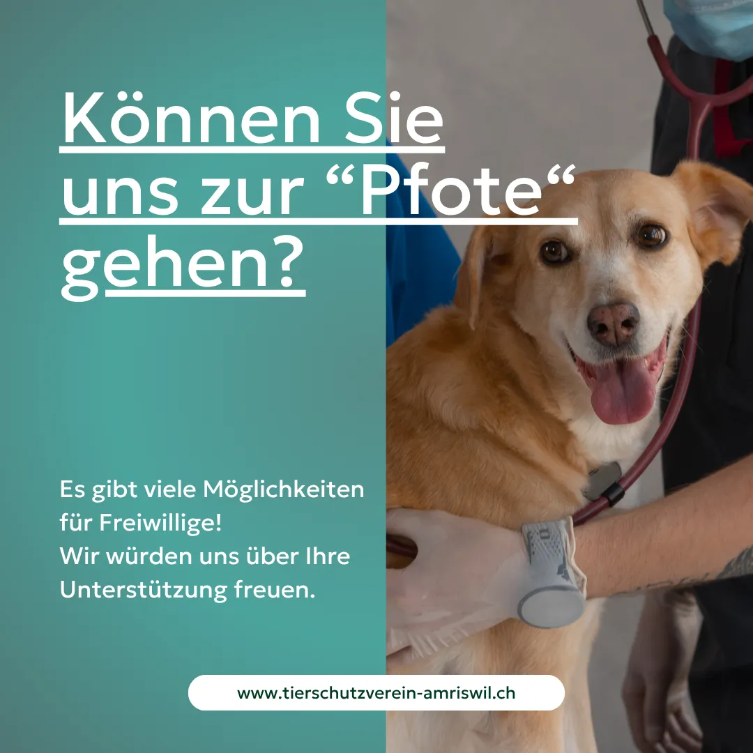 Vorschau 2