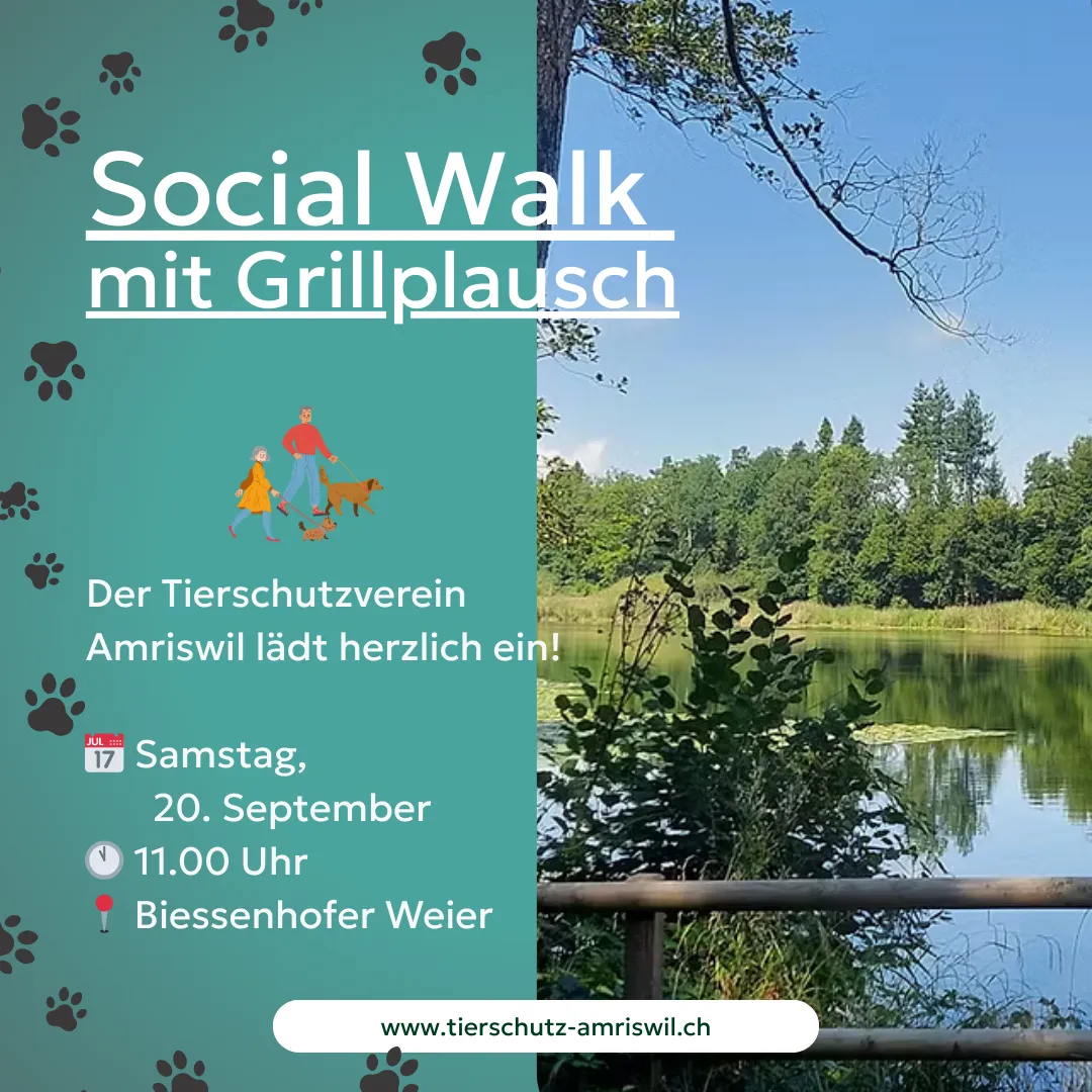 Socialwalk Biessenhofer Weier in Erlen mit Grillplausch