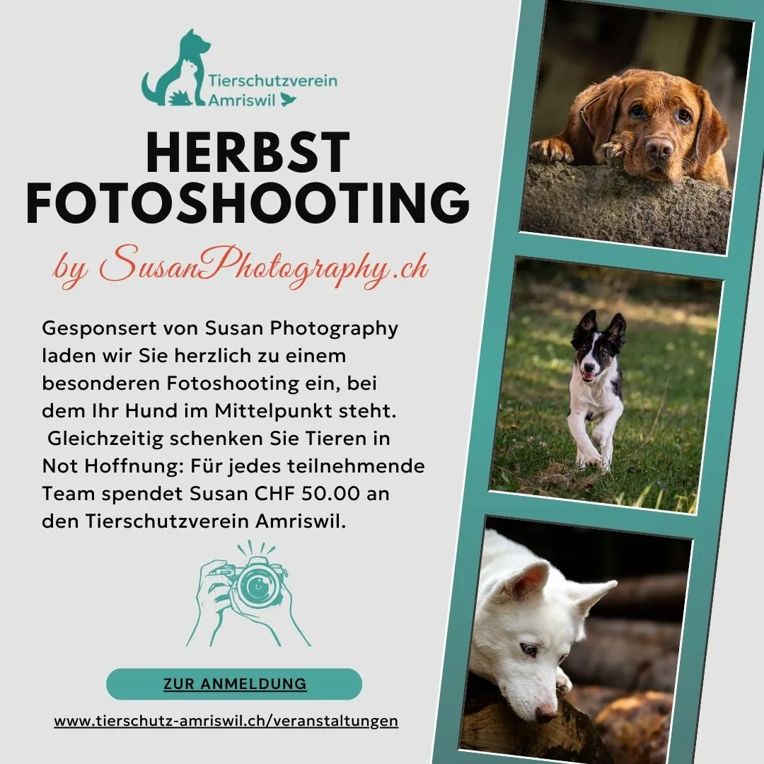 Herbst-Minishooting – Erinnerungen schaffen & Tieren helfen