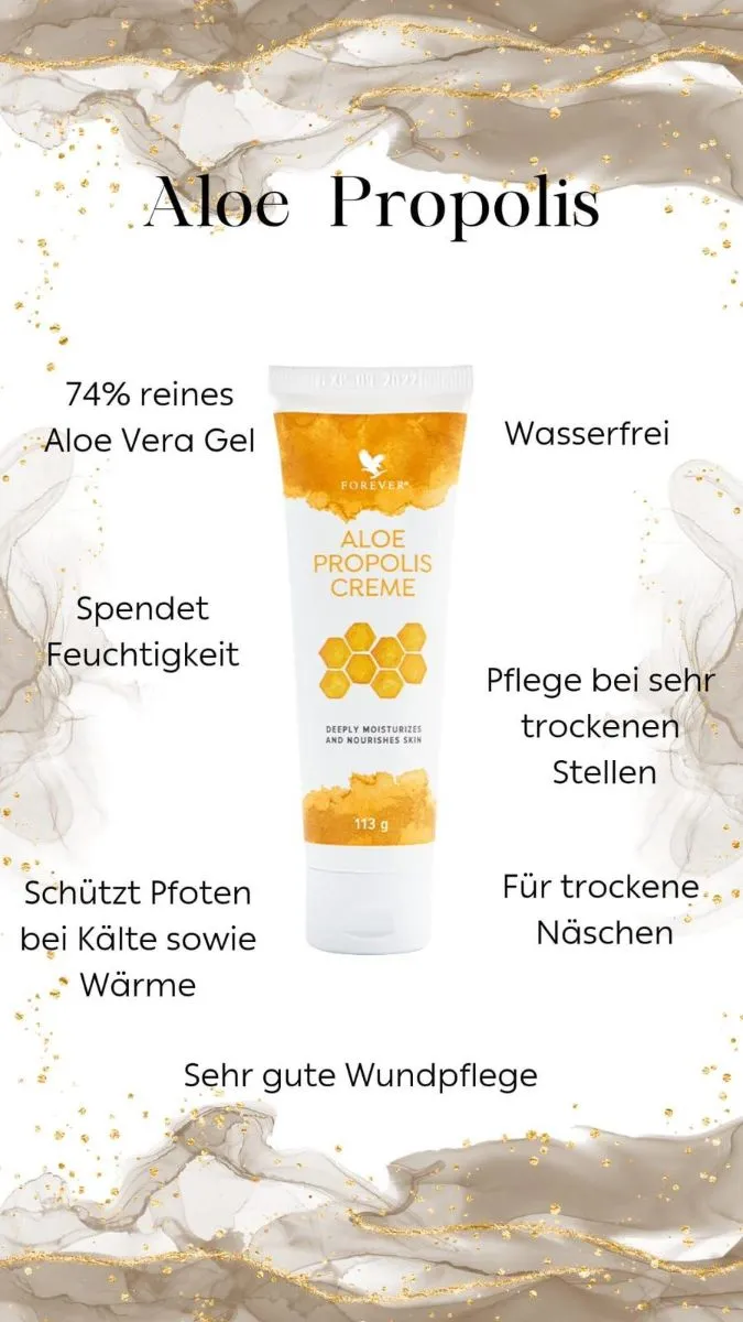 Vorschau 5