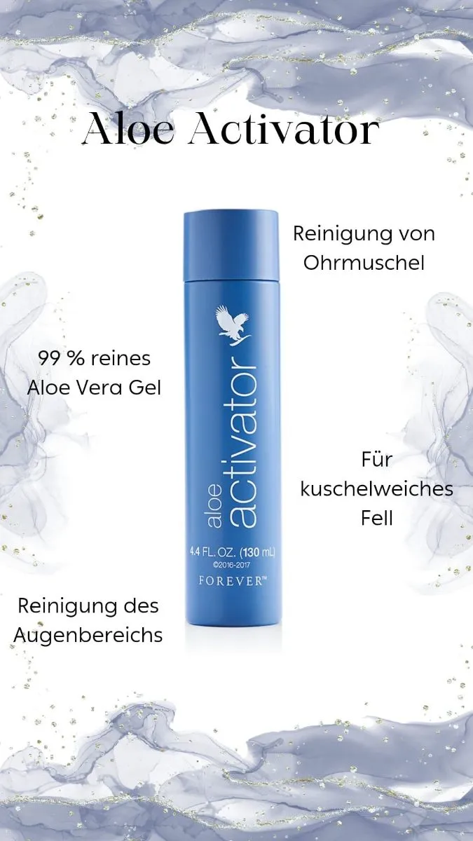Vorschau 2