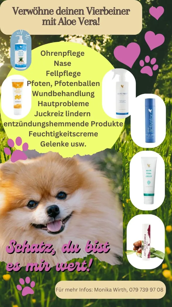 Hundepflege mit Aloe Vera