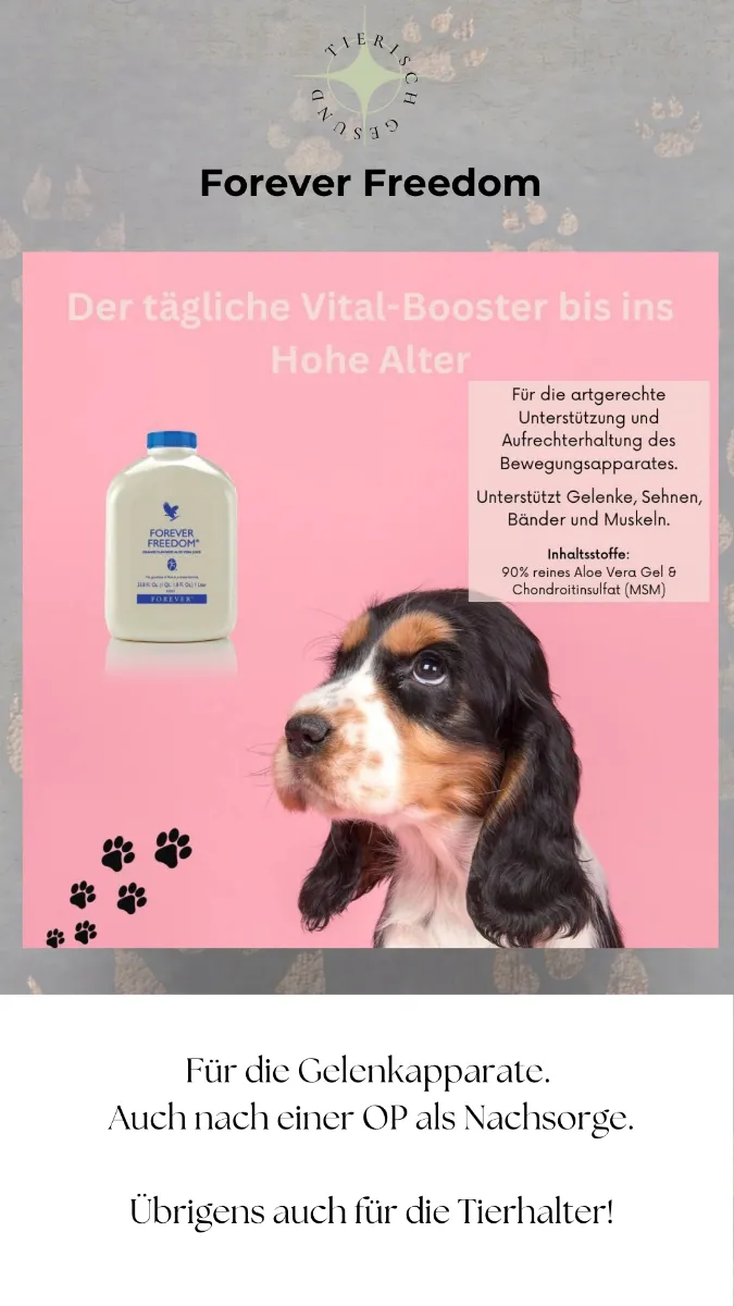 Vorschau 7