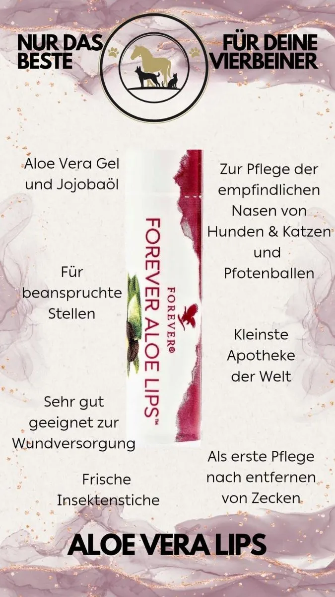 Vorschau 10