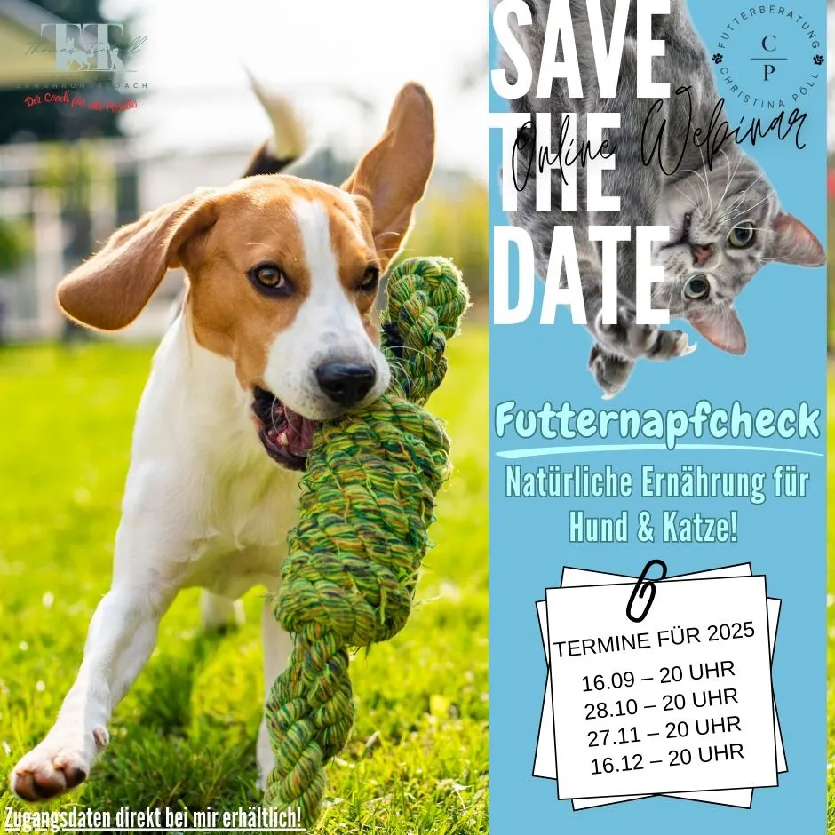 Futternapfcheck – Online Webinar: Natürliche Ernährung für Hund & Katze!