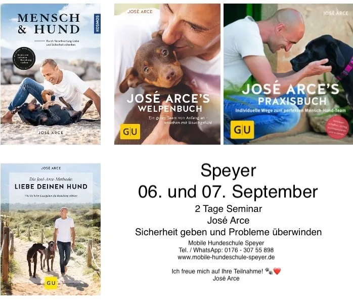 José Arce, durch die richtige Struktur, Sicherheit geben und Probleme überwinden