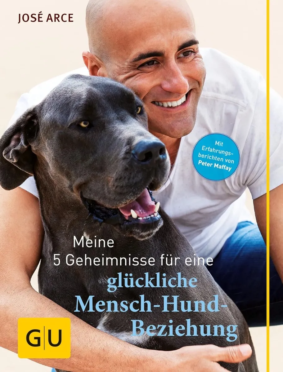 Vorschau 6