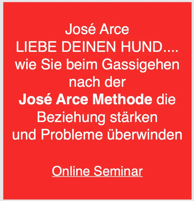Helfen Sie Ihrem Hund...... online Kurs