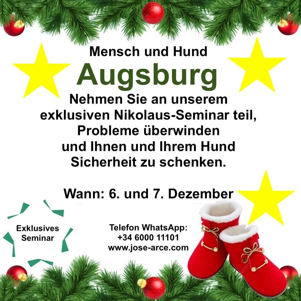 🐕 Mensch und Hund 🐕   Exklusives Nikolaus-Seminar