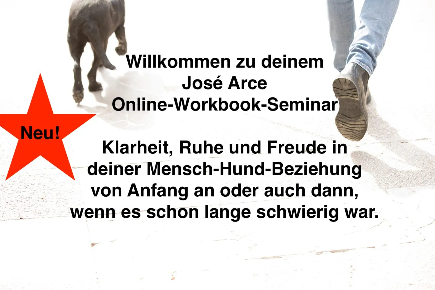 Finde  Klarheit,  Ruhe  und Freude in deiner Mensch-Hund-Beziehung