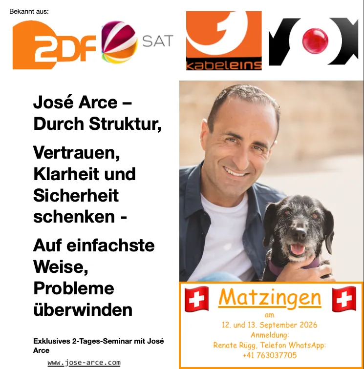 José Arce – Durch Struktur, Vertrauen, Klarheit und Sicherheit schenken