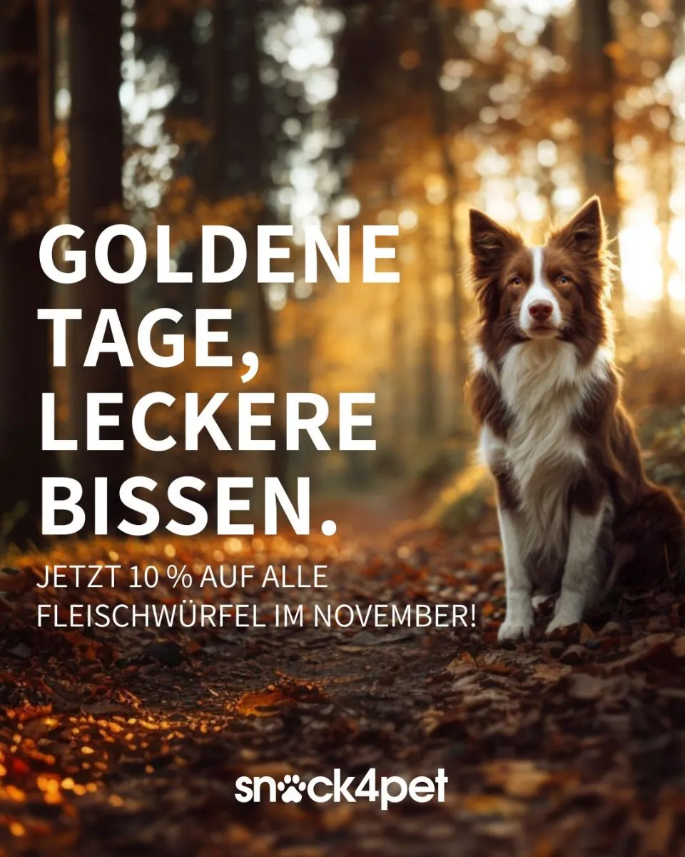 Herbstzeit ist Snackzeit – jetzt 10 % sparen!