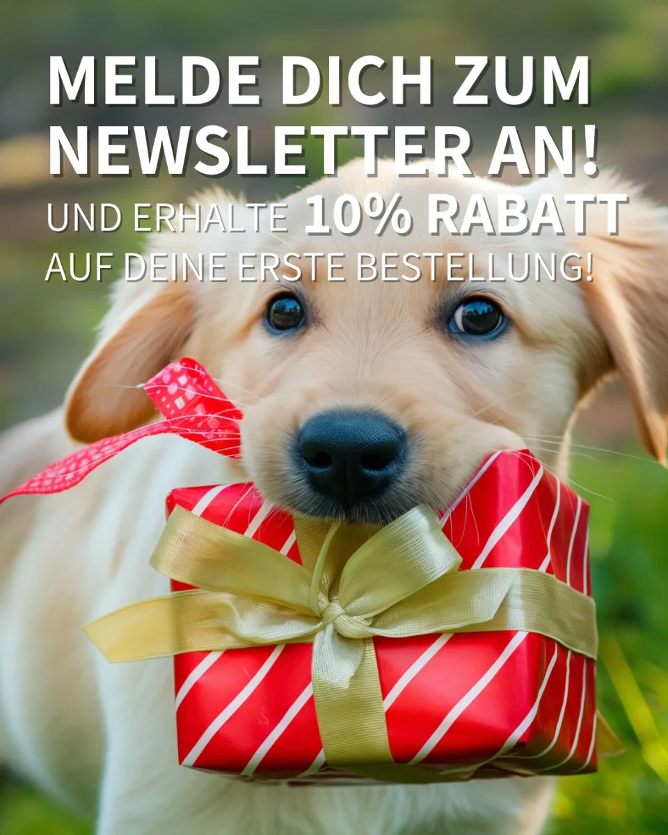 🐾 Jetzt Snack4Pet Newsletter abonnieren und 10 % sparen!