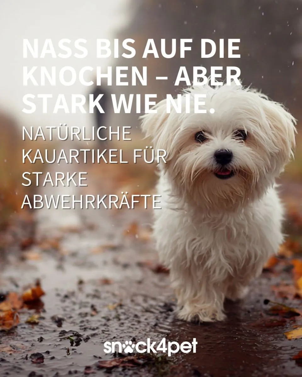 Stark durch den Winter – ganz natürlich