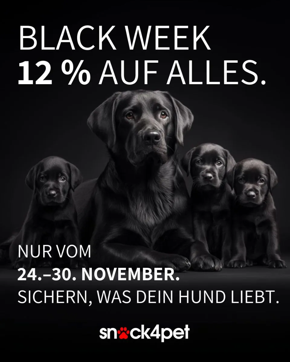 Kau dich glücklich – jetzt 12 % sparen!