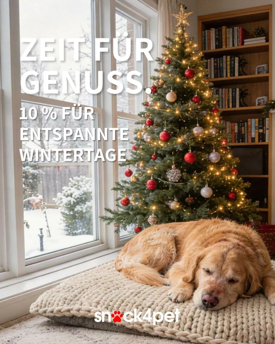 Frohe Weihnachten! Unser Geschenk: Gutschein für 10% Rabatt!