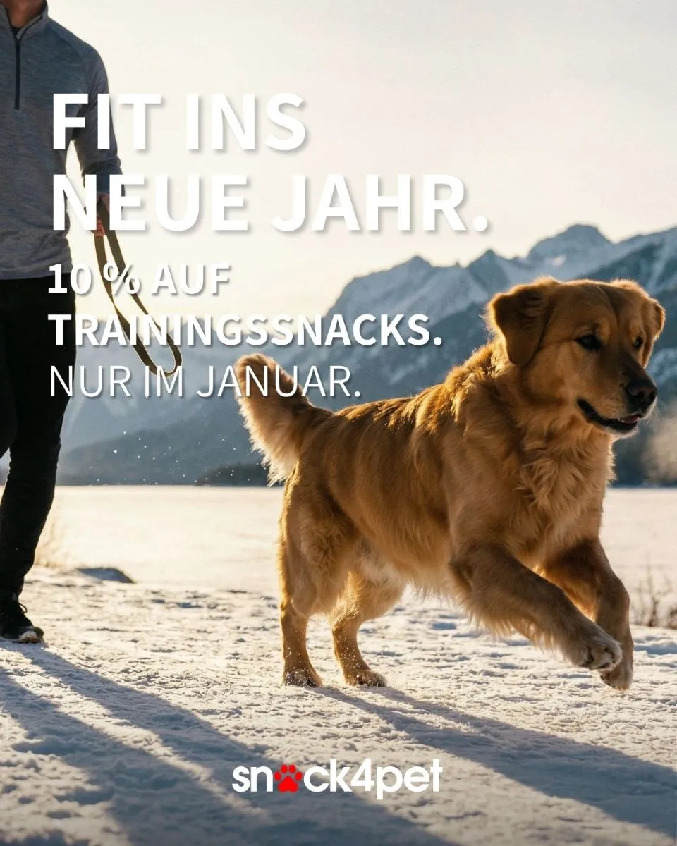 Fit ins neue Jahr – 10% Rabatt auf Trainingssnacks für Hunde!
