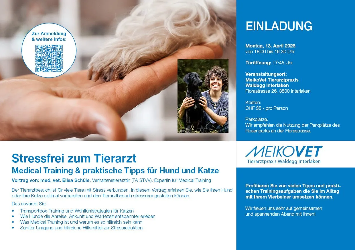 Vortrag - Stressfrei zum Tierarzt: Medical Training & praktische Tipps für Hund und Katze