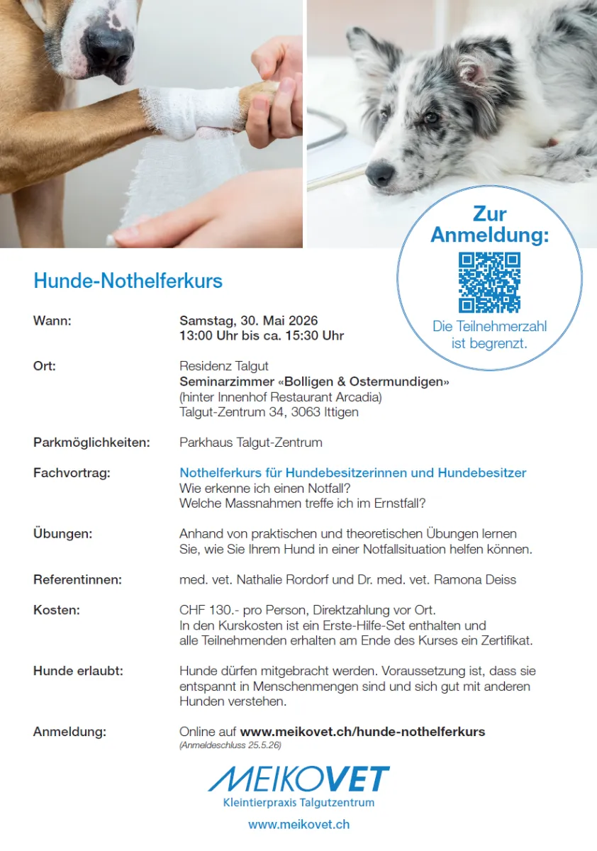 Hunde Nothelferkurs bei MeikoVet in Ittigen