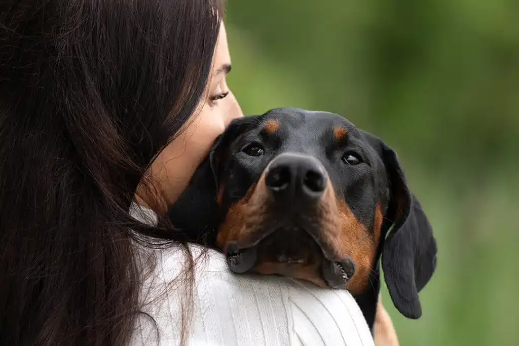 Schweiz: Fotosession für dich und deinen Hund in der Natur