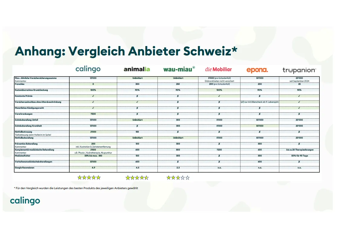 Vorschau 5
