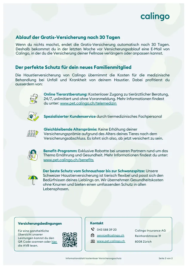 Vorschau 7