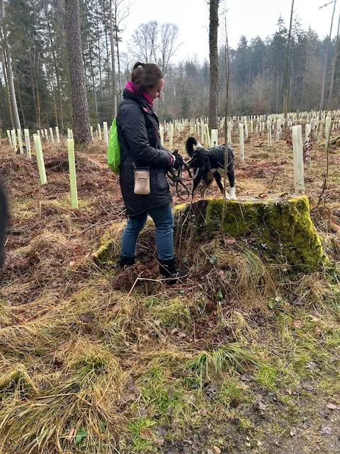 Junghundekurs Unterwegs 10 Lektionen