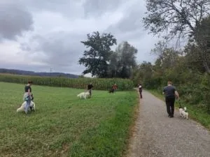 Vorschau 2