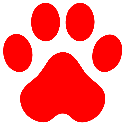 Profilbild von snack4pet.ch