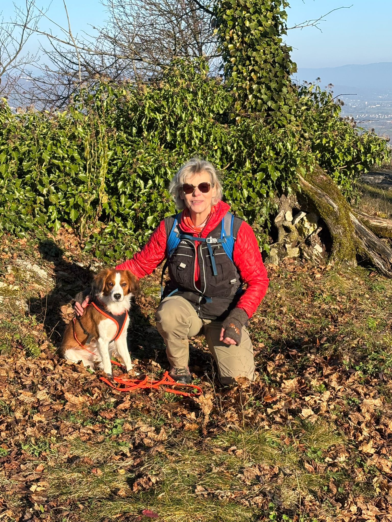 Profilbild von Angelika Pinth