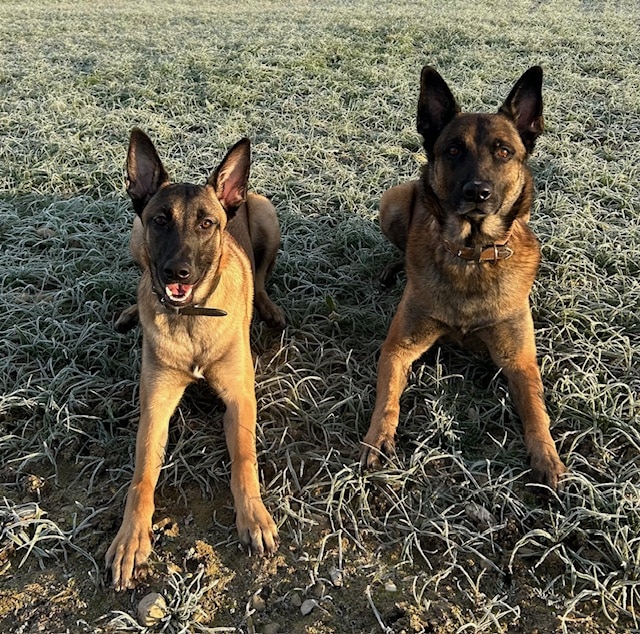 dex und jade