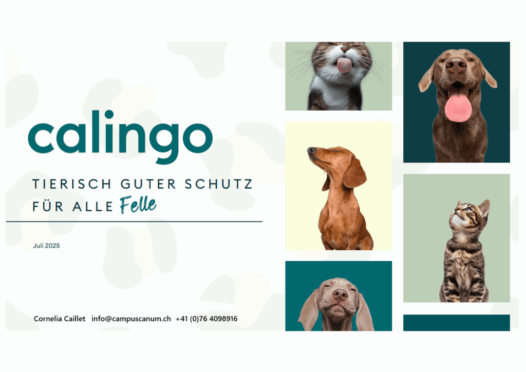 Calingo-1-1